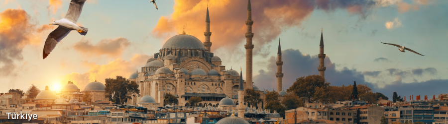 Top 10 Investment Residency Programs for 2025- Türkiye تركيا
