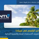 التوأم الرقمي في غرينادا