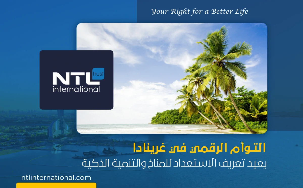 التوأم الرقمي في غرينادا