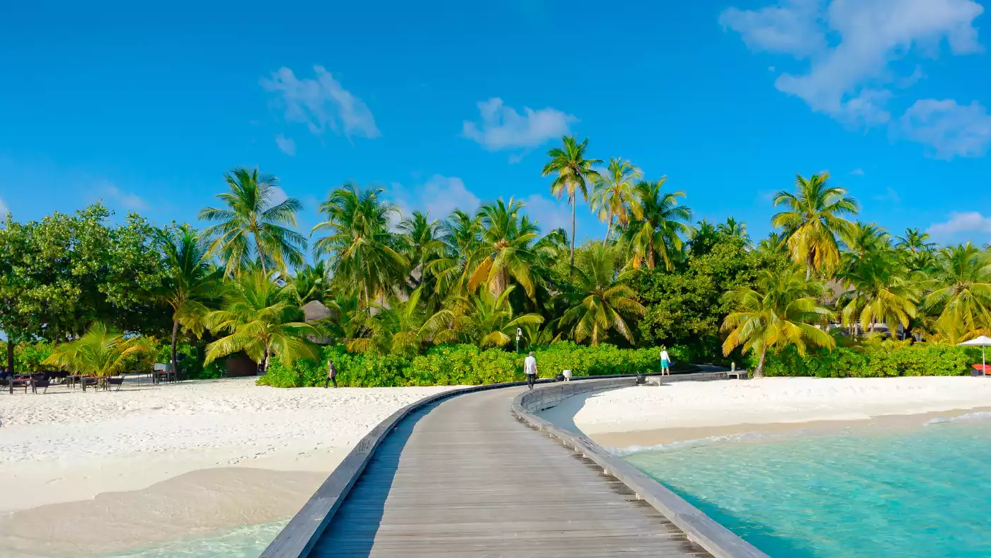 جنسية فانواتو عن طريق الاستثمار، دولة جزرية في جنوب المحيط الهادئ